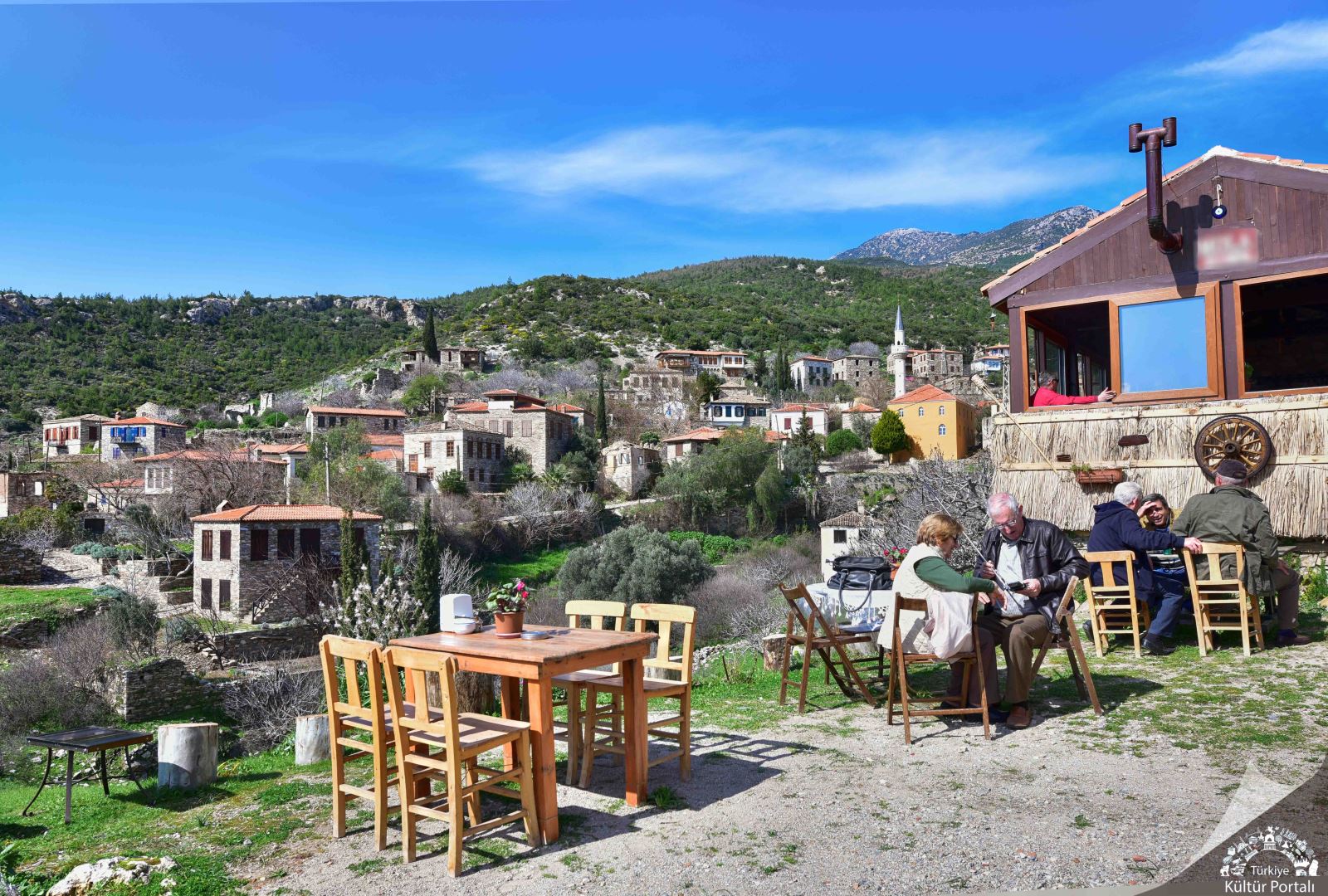 Alternative Holiday Experiences in Didim: Explore Nature Tours and Safari Adventures