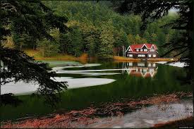 BOLU