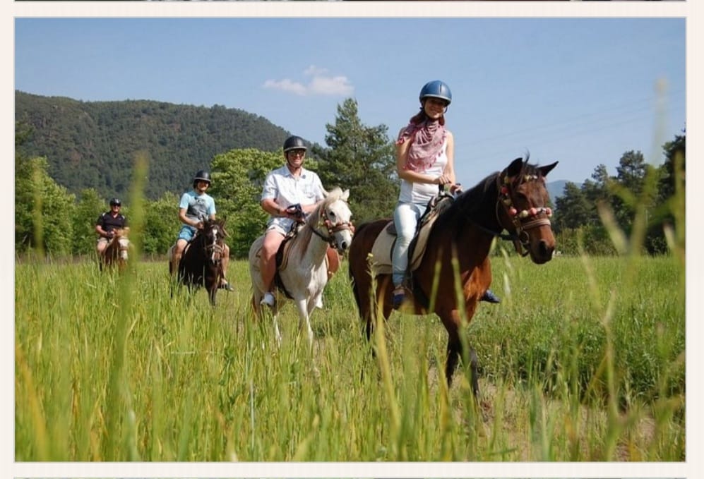 DIDIM HORSE SAFARI