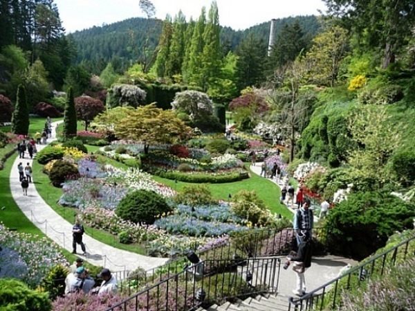 Botanic
