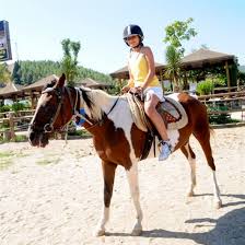 Didim At Turu