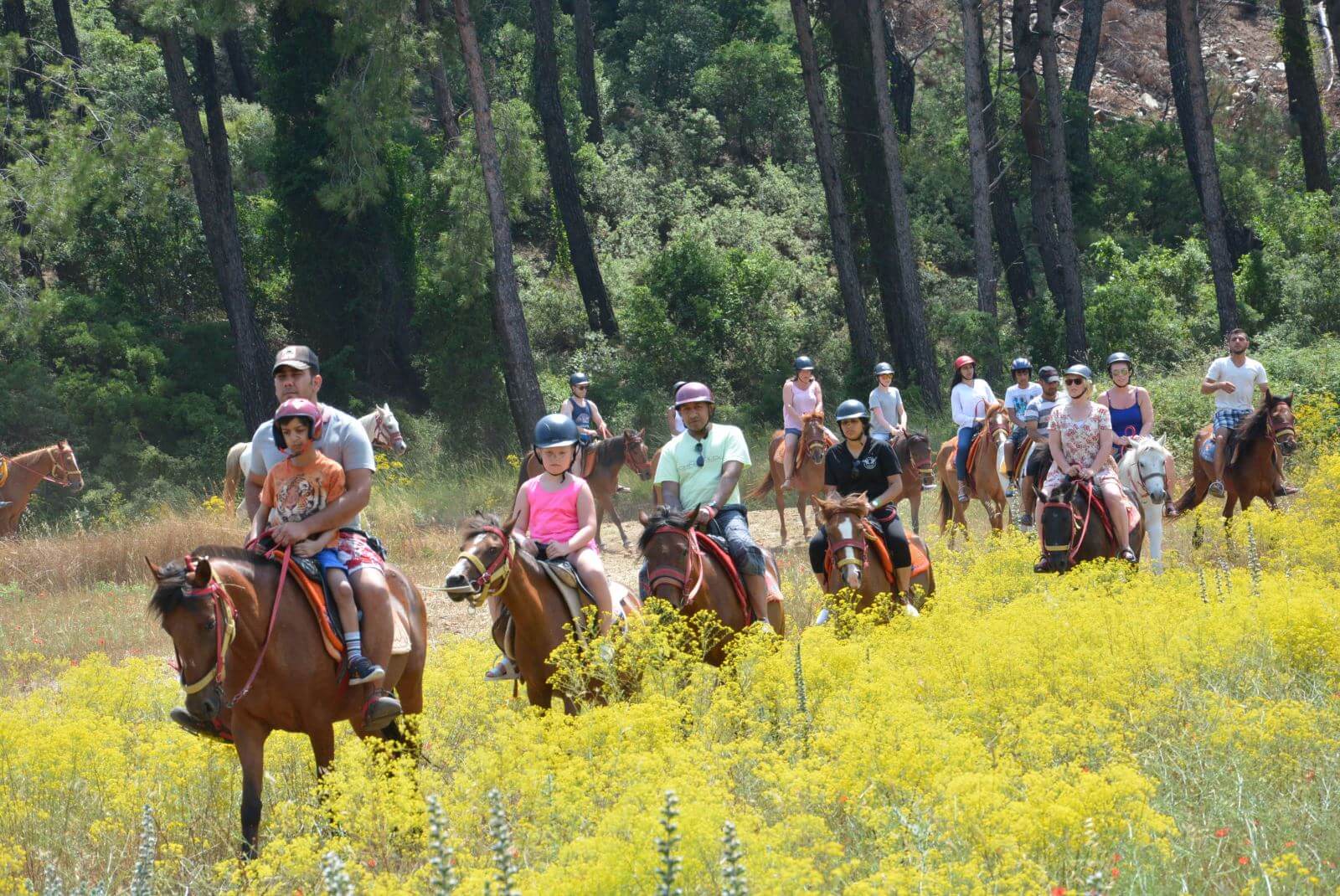 Bodrum Horse Safari – The Best Horseback Riding Experience & Nature Tours in Bodrum