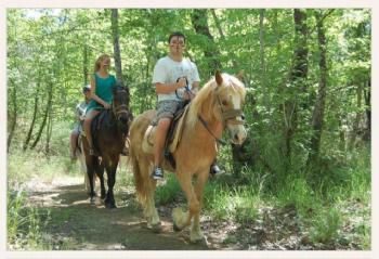 Bodrum Horse Safari