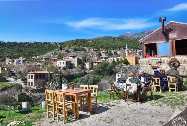 Alternative Holiday Experiences in Didim: Explore Nature Tours and Safari Adventures