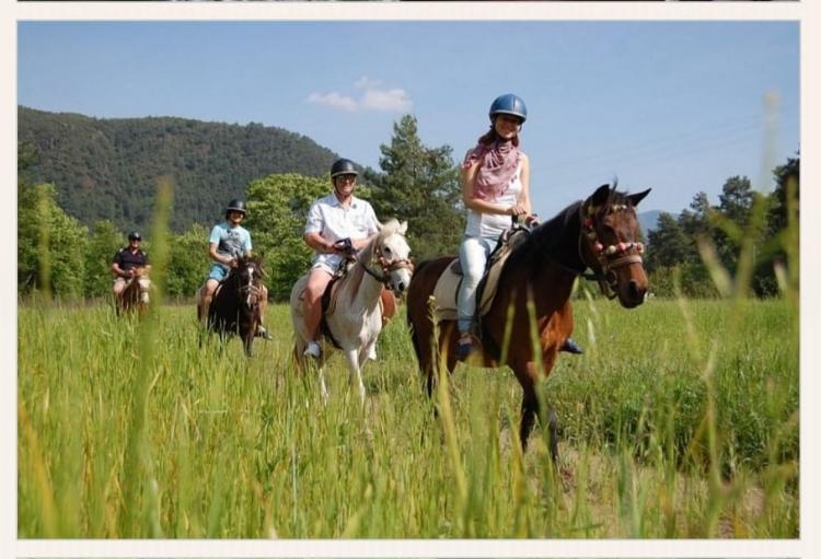 Didim Günübirlik Turlar ve Geziler