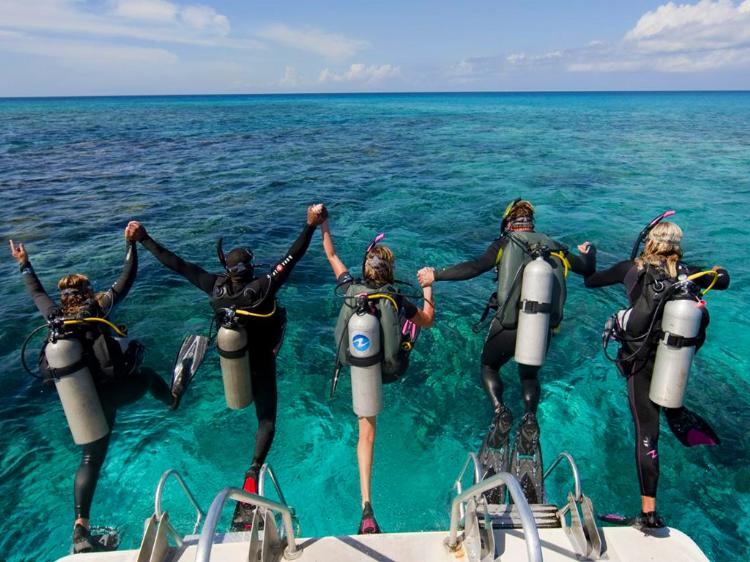  Bodrum Scuba Diving- Daily Excursions 