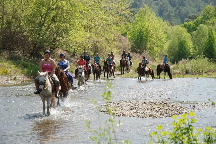 Bodrum Horse Riding Safari Tour