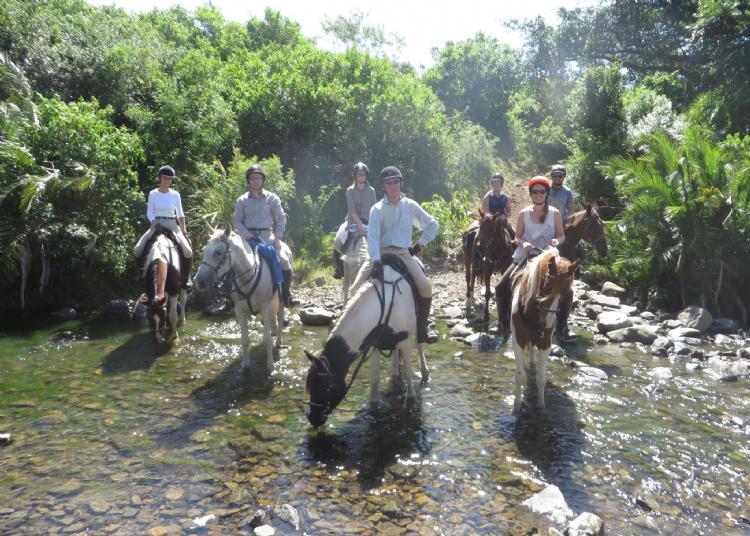 Didim Horse Safari – Doğayla İç İçe Unutulmaz Bir Binicilik Deneyimi