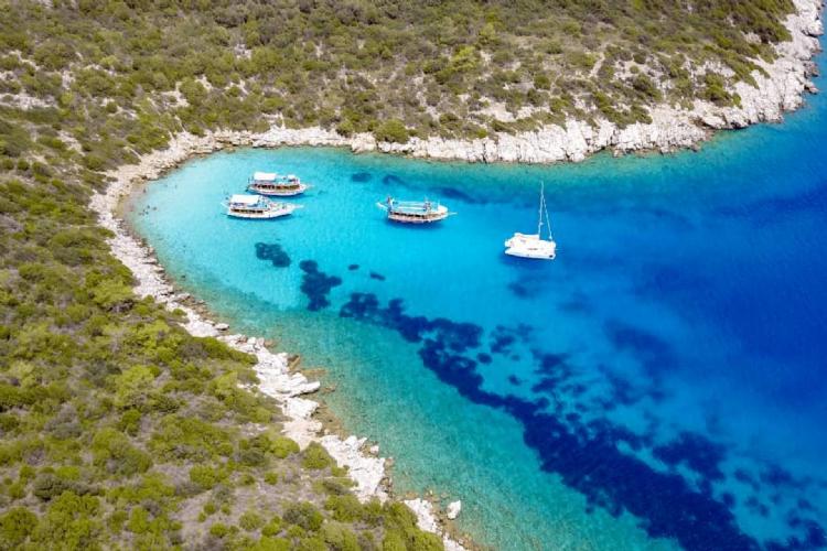 Bodrum Orak Island Boat Tour